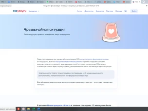 Государственная поддержка в чрезвычайных ситуациях